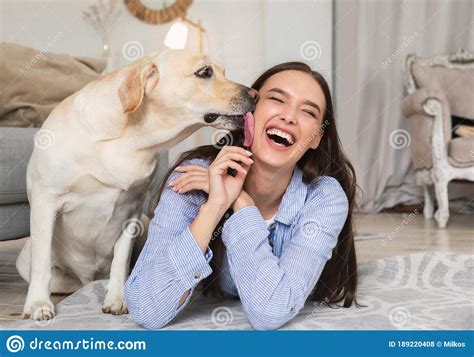 dog licking woman|Dog Licking Woman In Bed Pictures, Images and Stock Photos